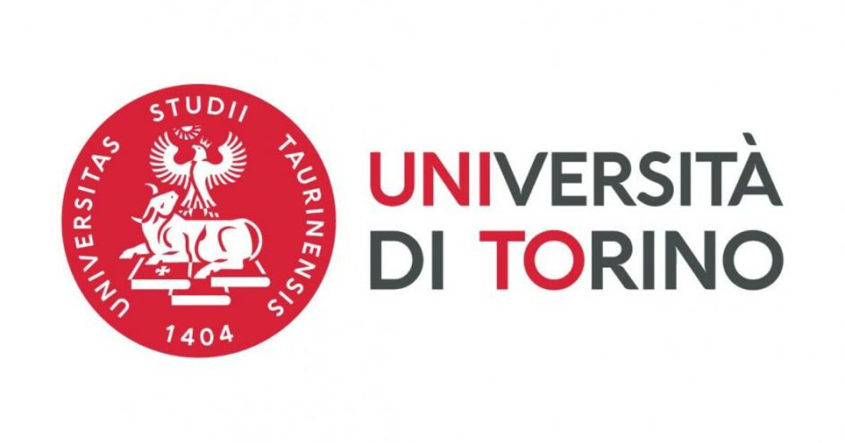 Concorsi università Torino 2024