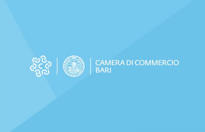 Concorso camera di commercio Bari